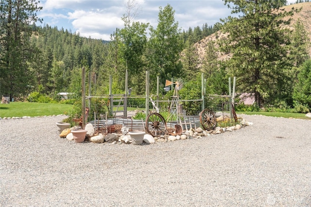26 Newby Creek Rd, Twisp, WA 98856 - view of community with a lawn and a view of trees
