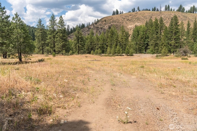 26 Newby Creek Rd, Twisp, WA 98856 - mountain view featuring rural landscape and a heavily wooded area
