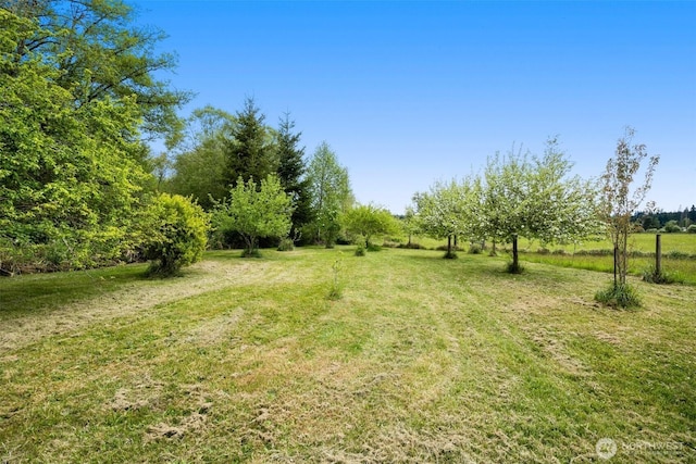 20910 Bucoda Hwy SE, Centralia, WA 98531 - photo 27