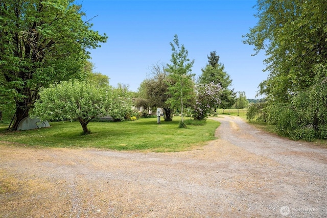 20910 Bucoda Hwy SE, Centralia, WA 98531 - photo 30