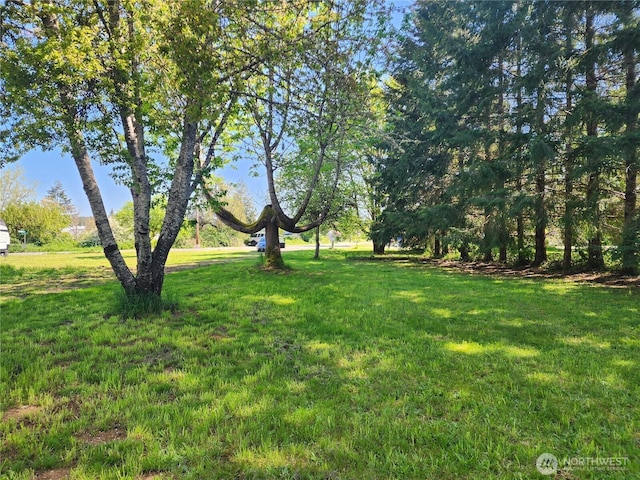 175 Stevens Rd, Chehalis, WA 98532 - view of grassy yard
