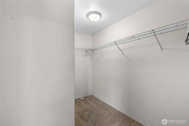 649 Sally Dr, Wenatchee, WA 98801 - spacious closet with carpet