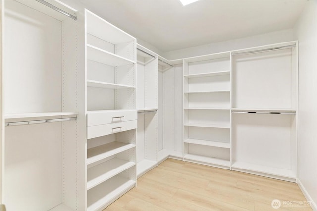 walk in closet featuring light wood finished floors