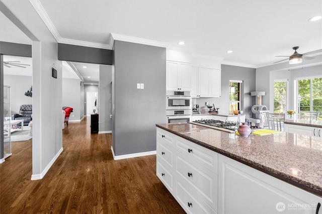 3341 Nicole Ln, Custer, WA 98240 - kitchen with ceiling fan, stainless steel appliances, stone counters, dark wood-style flooring, and ornamental molding
