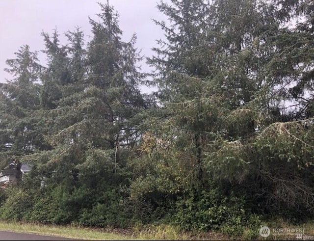 649 Weatherwax Loop NE, Ocean Shores WA, 98569 land for sale