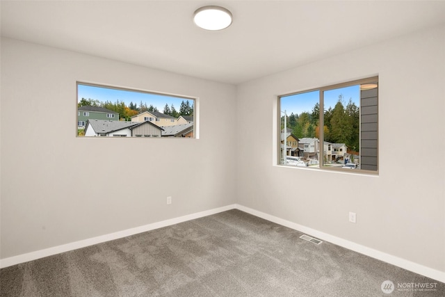 spare room with baseboards, carpet floors, and plenty of natural light