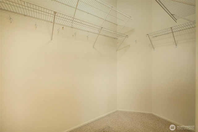 walk in closet with carpet flooring