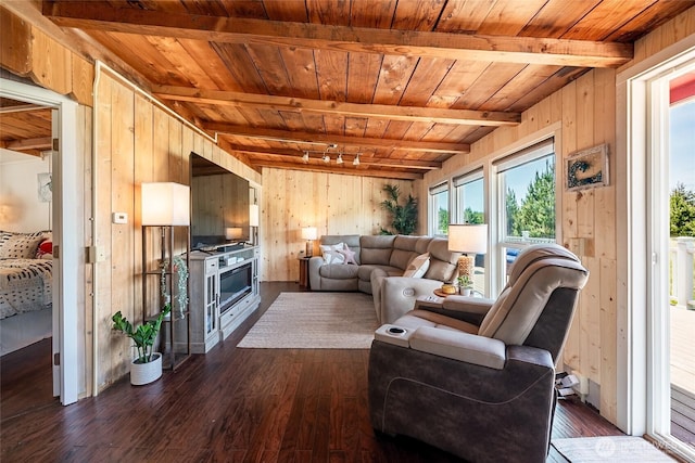 1011 231st Ln, Ocean Park, WA 98640 - living room with wooden ceiling with exposed beams, wooden walls, plenty of natural light, and dark wood finished floors