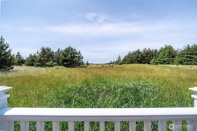 1011 231st Ln, Ocean Park, WA 98640 - view of yard