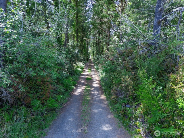 1011 231st Ln, Ocean Park, WA 98640 - view of road with a forest view