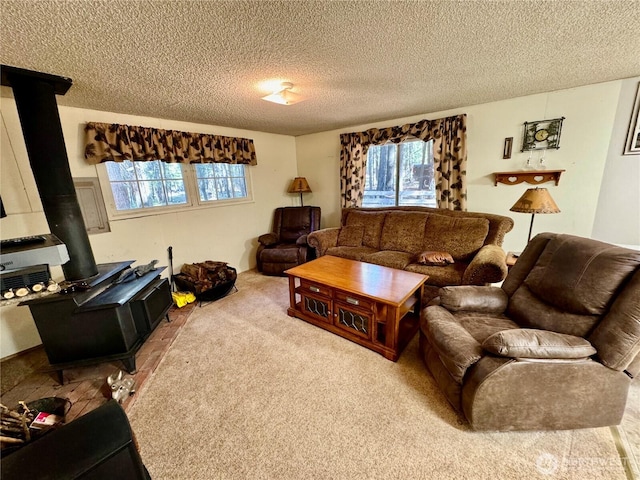 511 Old River Rd Unit 18, Naches, WA 98937 - carpeted living area with a wood stove, a textured ceiling, and healthy amount of natural light