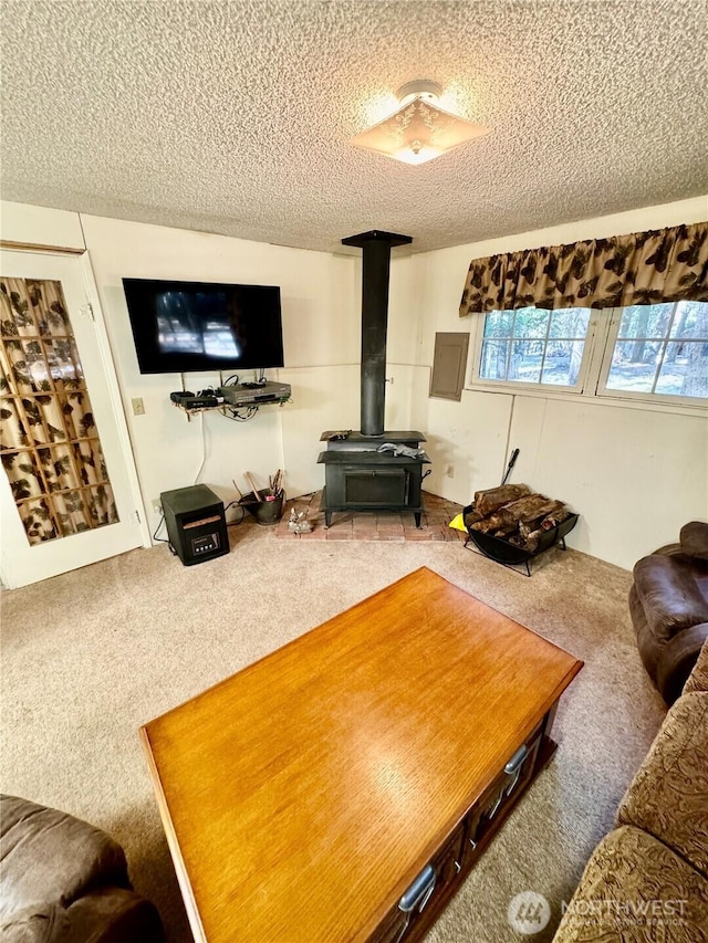511 Old River Rd Unit 18, Naches, WA 98937 - living area featuring carpet floors, a wood stove, and a textured ceiling