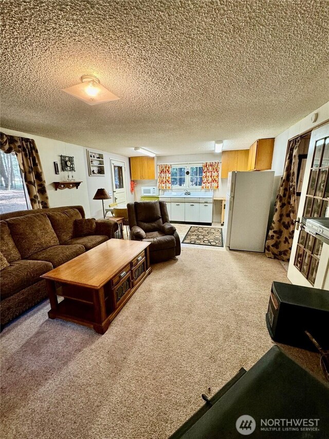511 Old River Rd Unit 18, Naches, WA 98937 - living room with a textured ceiling and light colored carpet