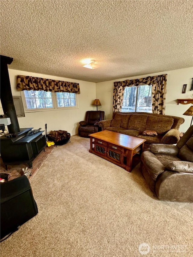 511 Old River Rd Unit 18, Naches, WA 98937 - carpeted living room with a textured ceiling and plenty of natural light
