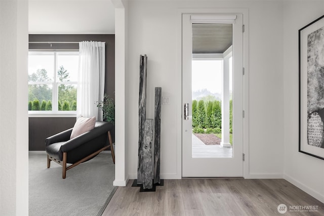 entrance foyer featuring plenty of natural light, wood finished floors, and baseboards