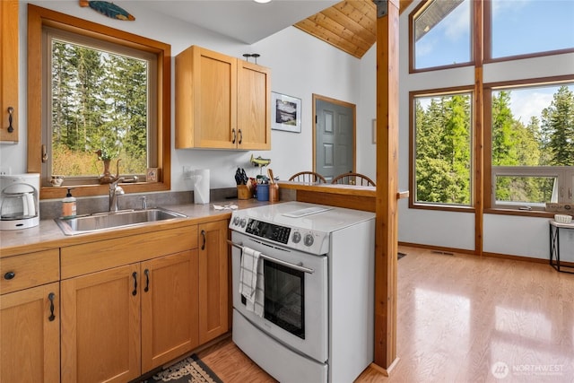 6166 Westside Rd, Cle Elum, WA 98922 - kitchen with electric range, a sink, lofted ceiling, and light wood finished floors