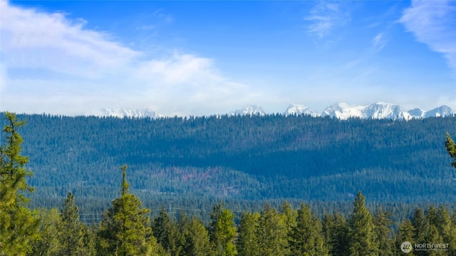 6166 Westside Rd, Cle Elum, WA 98922 - mountain view with a heavily wooded area