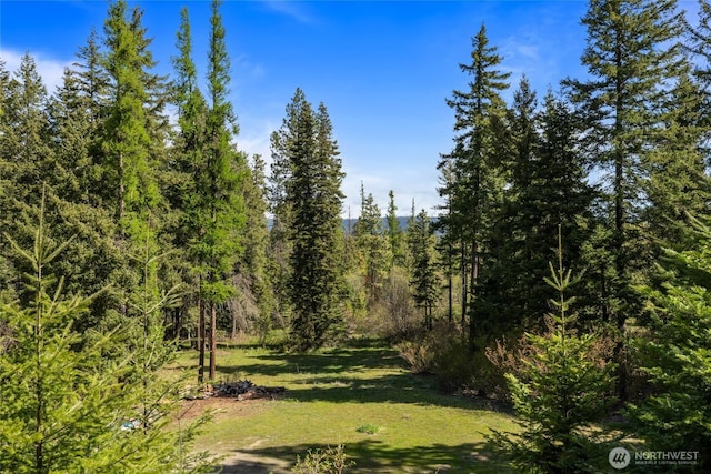 6166 Westside Rd, Cle Elum, WA 98922 - view of wooded area