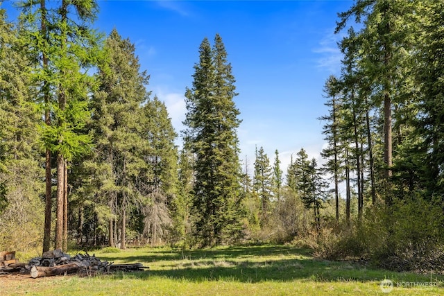 6166 Westside Rd, Cle Elum, WA 98922 - view of tree filled area