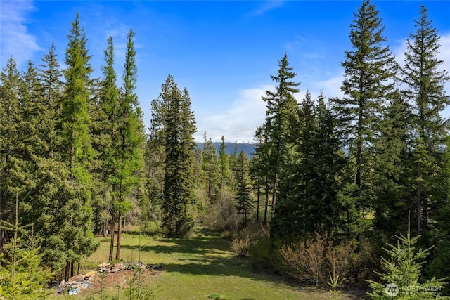 6166 Westside Rd, Cle Elum, WA 98922 - view of woods