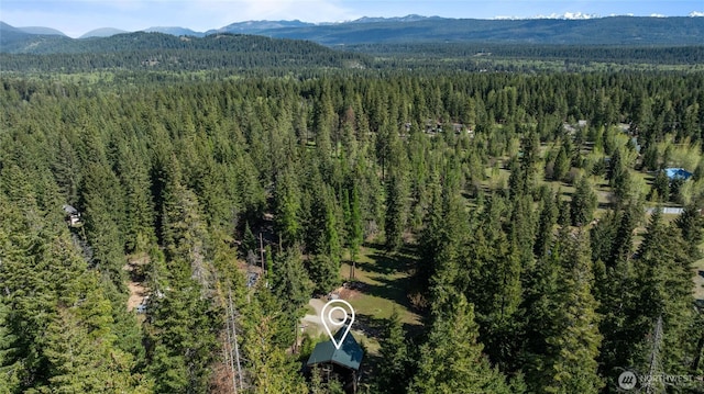 6166 Westside Rd, Cle Elum, WA 98922 - aerial view of a heavily wooded area and a mountain backdrop