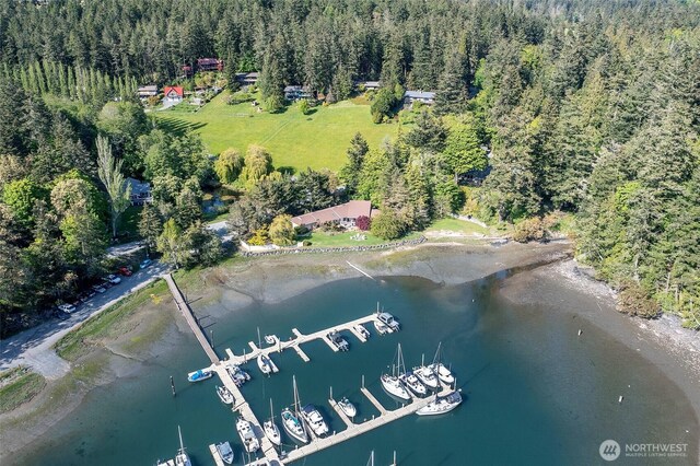 376 Killebrew Lake Rd, Orcas Island, WA 98280 - view of property location featuring a forest and a nearby body of water