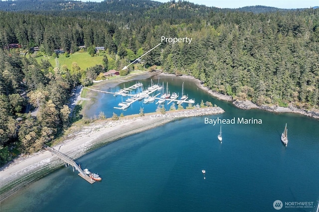 376 Killebrew Lake Rd, Orcas Island, WA 98280 - view of property location featuring a heavily wooded area and a large body of water