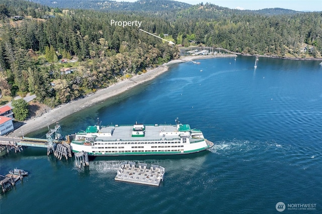 376 Killebrew Lake Rd, Orcas Island, WA 98280 - aerial view of a heavily wooded area and a nearby body of water
