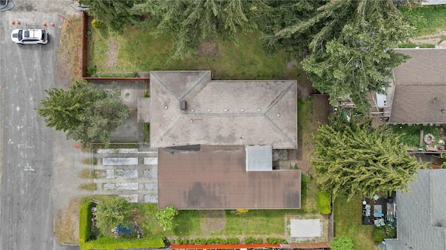 bird's eye view