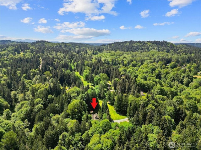 14413 139th Ave SE, Snohomish, WA 98290 - bird's eye view of a heavily wooded area