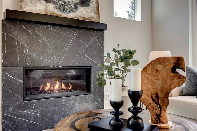 16215 Simonds Rd NE Unit 3, Kenmore, WA 98028 - detailed view of a fireplace