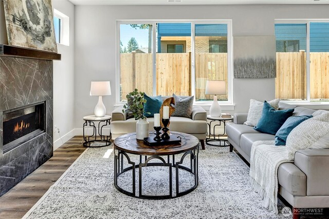 16215 Simonds Rd NE Unit 3, Kenmore, WA 98028 - living area featuring wood finished floors, a large fireplace, and baseboards