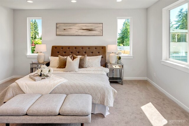 16215 Simonds Rd NE Unit 3, Kenmore, WA 98028 - bedroom with multiple windows, recessed lighting, light carpet, and baseboards
