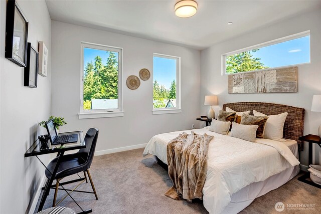 16215 Simonds Rd NE Unit 3, Kenmore, WA 98028 - carpeted bedroom with multiple windows and baseboards