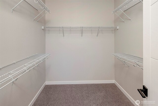 16215 Simonds Rd NE Unit 3, Kenmore, WA 98028 - spacious closet with carpet flooring