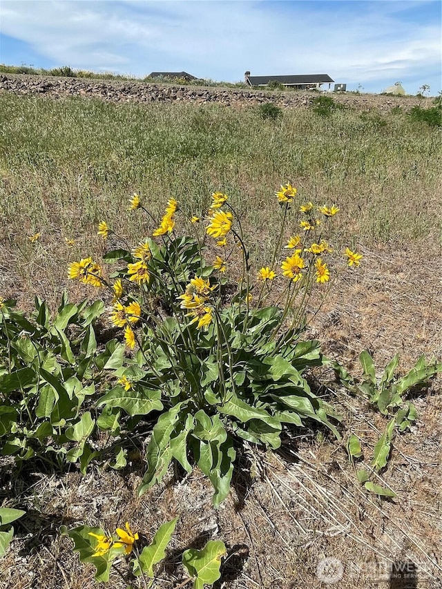 0 High Ranch Rd, Ellensburg, WA 98926
