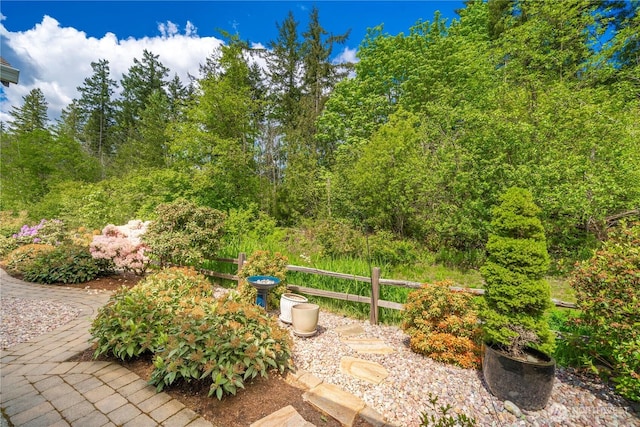 14419 190th Avenue Ct E, Bonney Lake, WA 98391 - view of yard with fence