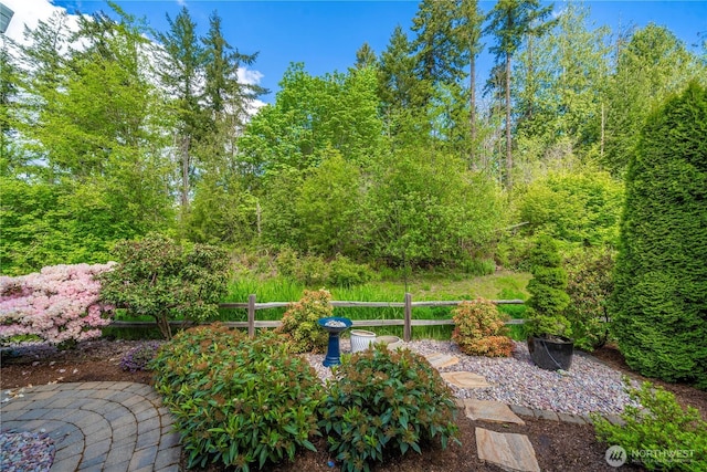 14419 190th Avenue Ct E, Bonney Lake, WA 98391 - view of yard