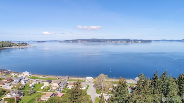 126 Vista Del Mar, Camano Island, WA 98282 - photo 36