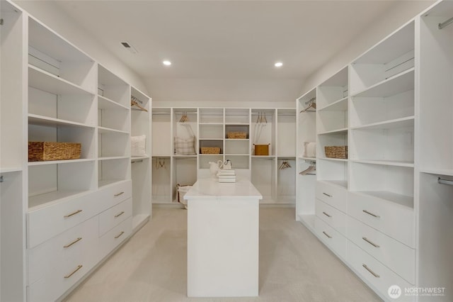 12805 Ruggs Lake Rd, Everett, WA 98208 - walk in closet with light carpet