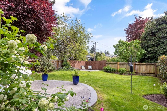 view of yard with a patio