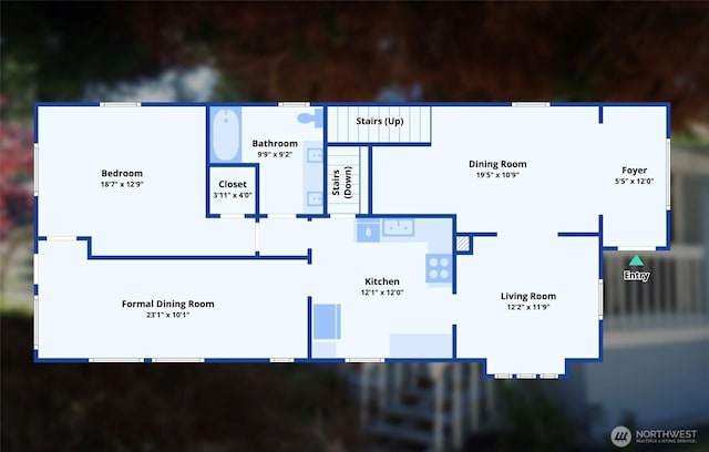 floor plan / room layout