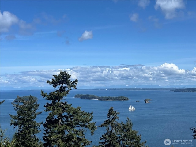 91 Coastline Dr, Orcas Island, WA 98279 - water view