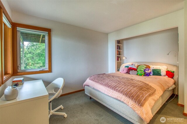 91 Coastline Dr, Orcas Island, WA 98279 - carpeted bedroom featuring baseboards