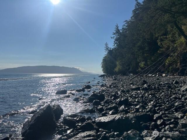 91 Coastline Dr, Orcas Island, WA 98279 - water view featuring mountains