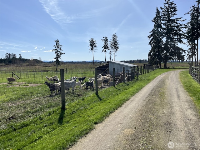 137 La Due Cemetery Rd, Onalaska, WA 98570 - view of dirt / gravel road with a view of rural / pastoral area