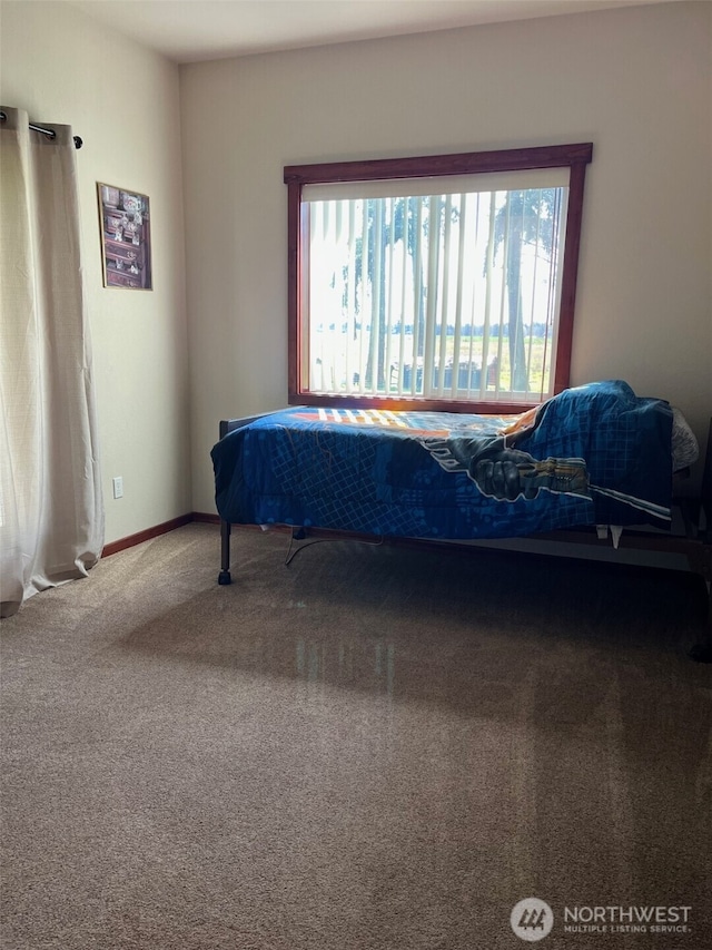 137 La Due Cemetery Rd, Onalaska, WA 98570 - carpeted bedroom featuring baseboards