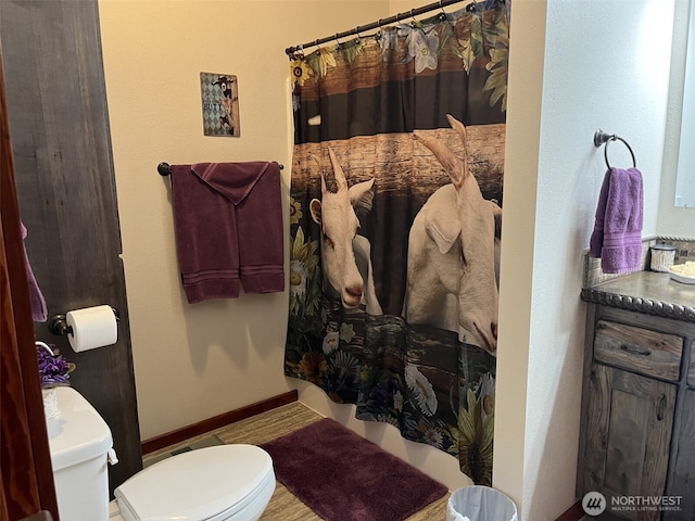 137 La Due Cemetery Rd, Onalaska, WA 98570 - full bathroom featuring toilet, a shower with shower curtain, vanity, and wood finished floors