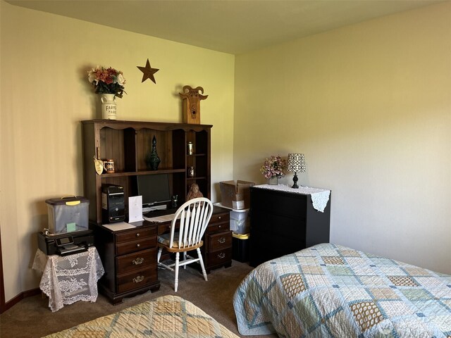137 La Due Cemetery Rd, Onalaska, WA 98570 - bedroom featuring dark carpet