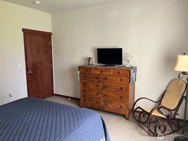137 La Due Cemetery Rd, Onalaska, WA 98570 - bedroom with carpet flooring